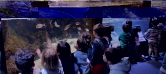 Aquarium