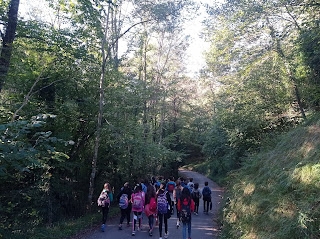 LH6