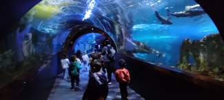 aquarium3