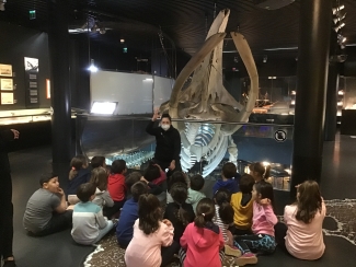 aquarium4